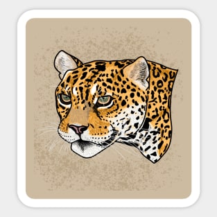 Jaguar (Panthera onca) Sticker